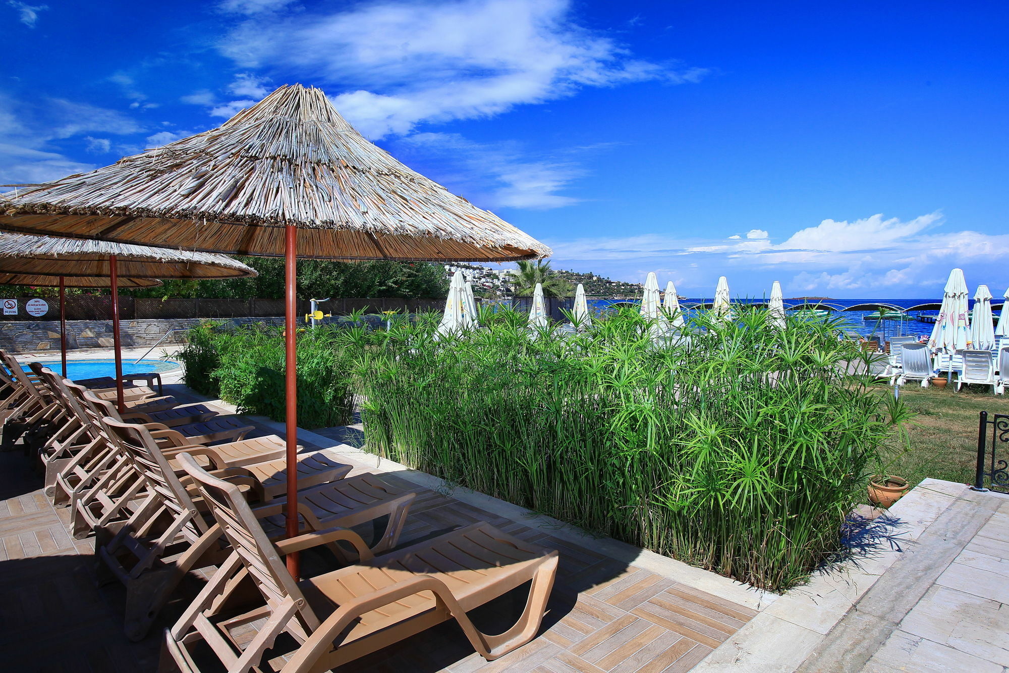 Cactus Fleur Beach Yalıkavak Buitenkant foto